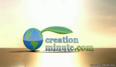 Минута Сотворения / Creation Minute Является ли эволюция наукой? 4